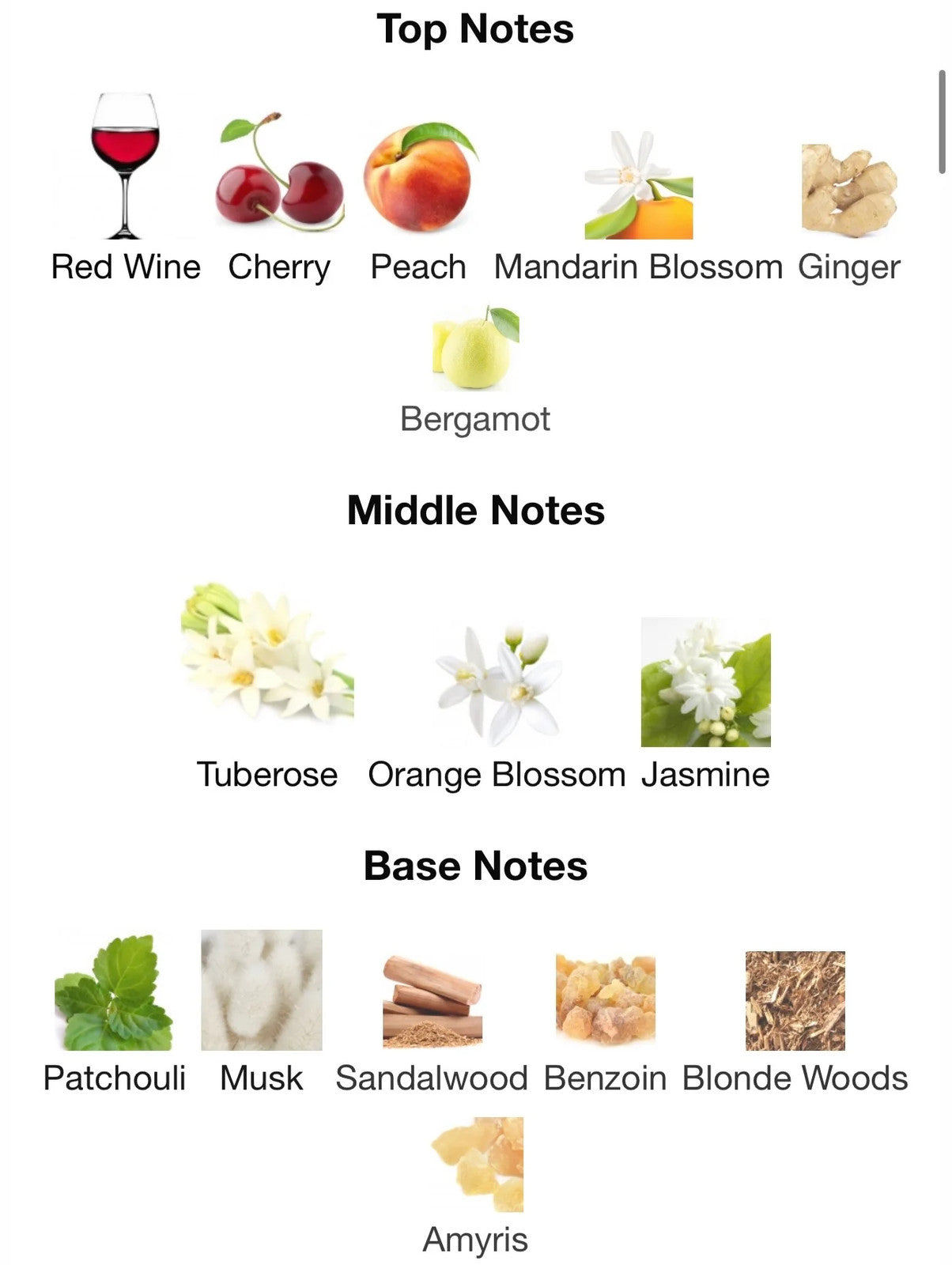 RED TUBEROSE BY BRUNO PERRUCCI