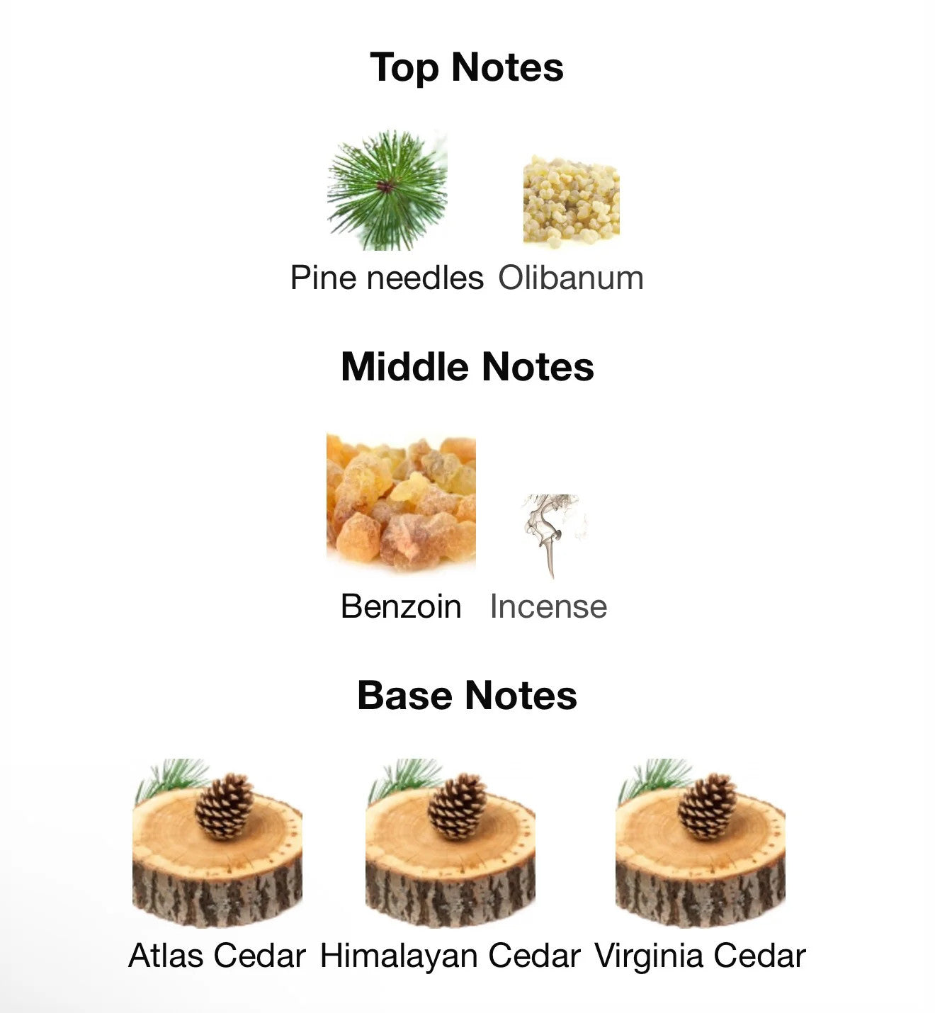 HERO PARFUM BY BURBERRY