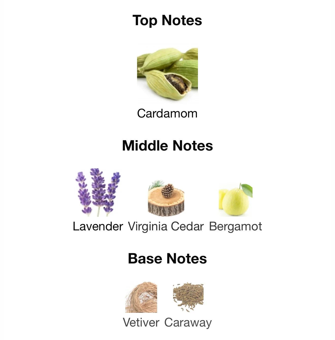 LA NUIT DE ĽHOMME BY YSL