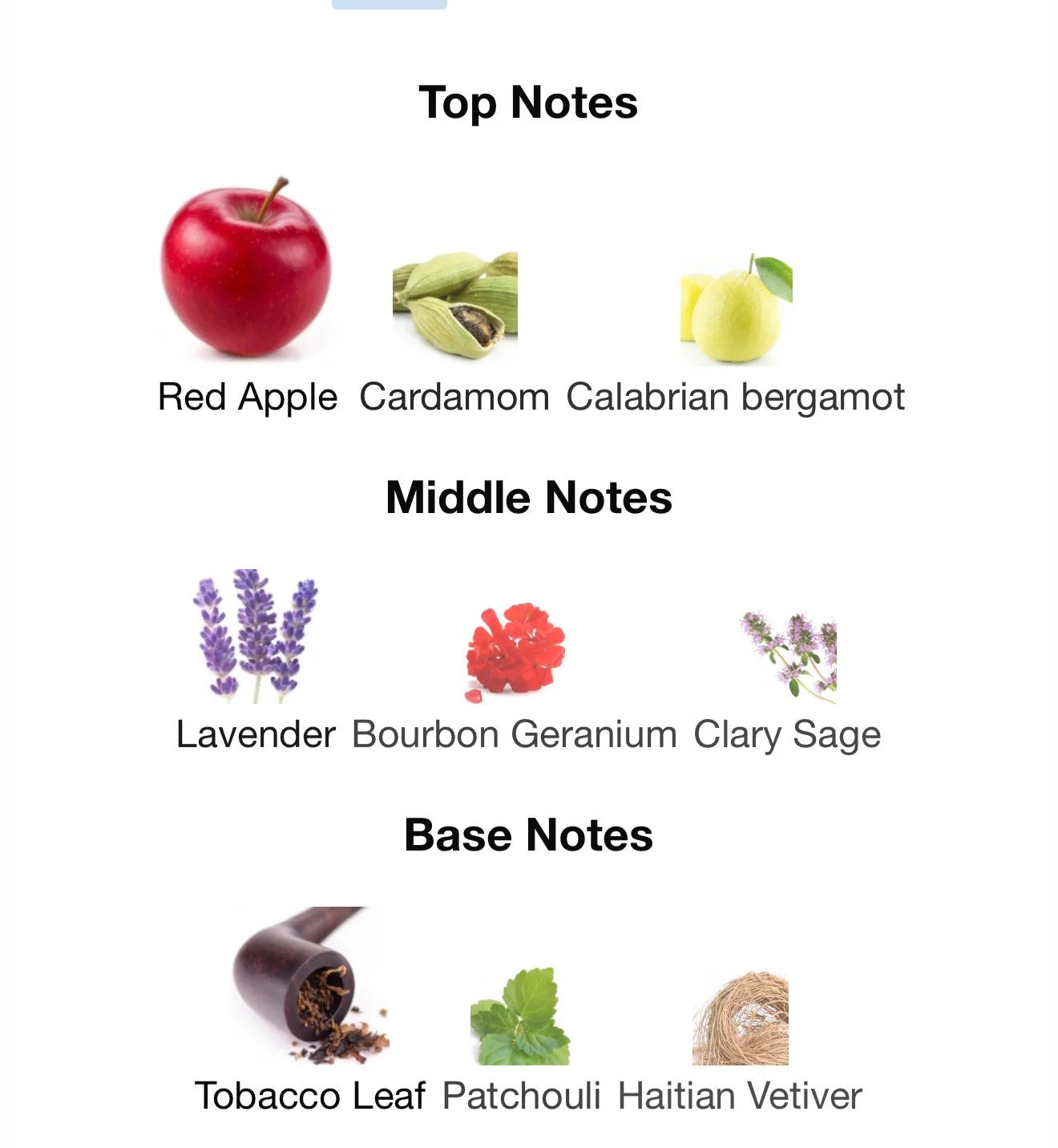 UOMO BORN IN ROMA CORAL FANTASY BY VALENTINO