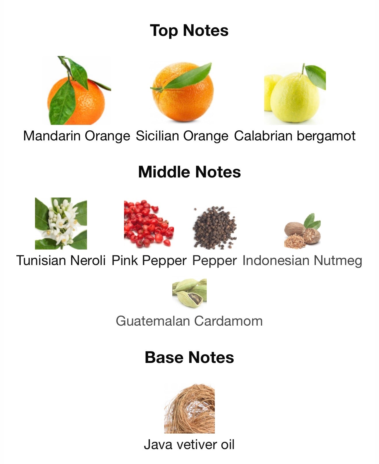 LOUIS VUITTON-MÉTÉORE