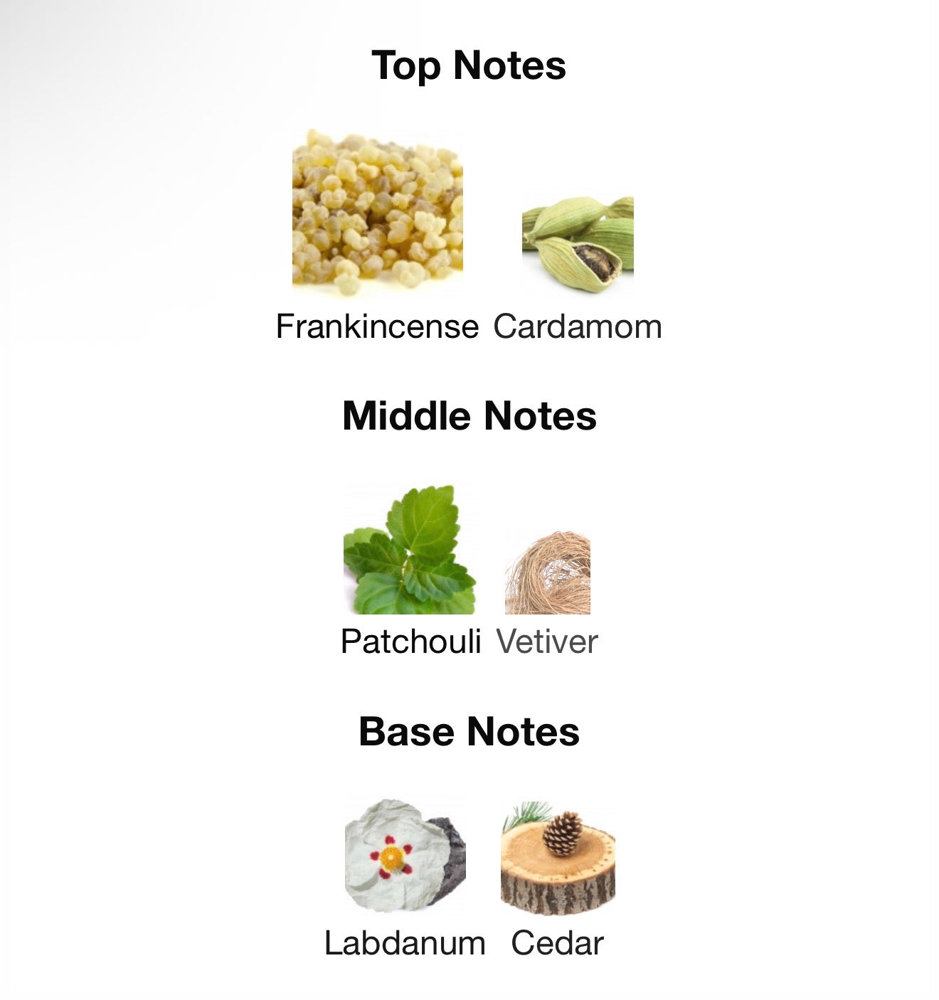 BOTTLED ELIXIR BY HUGO BOSS