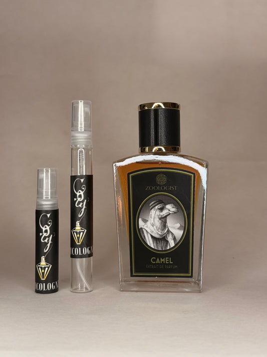 CAMEL BY ZOOLOGIST