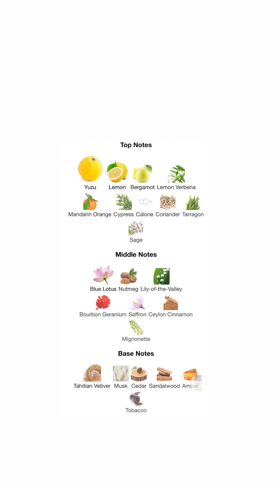 L’EAU D’ISSEY POUR HOMME BY ISSEY MIYAKE