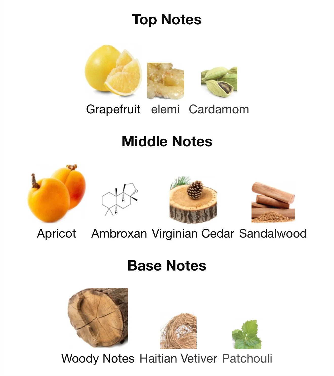 ISSEY MIYAKE WOOD&WOOD