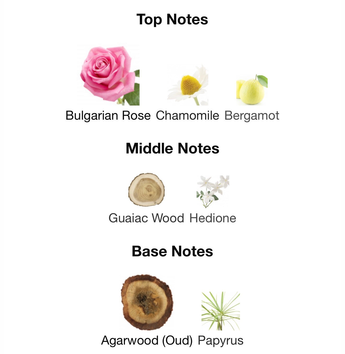 SILK MOOD EAU DE PARFUM BY MFK